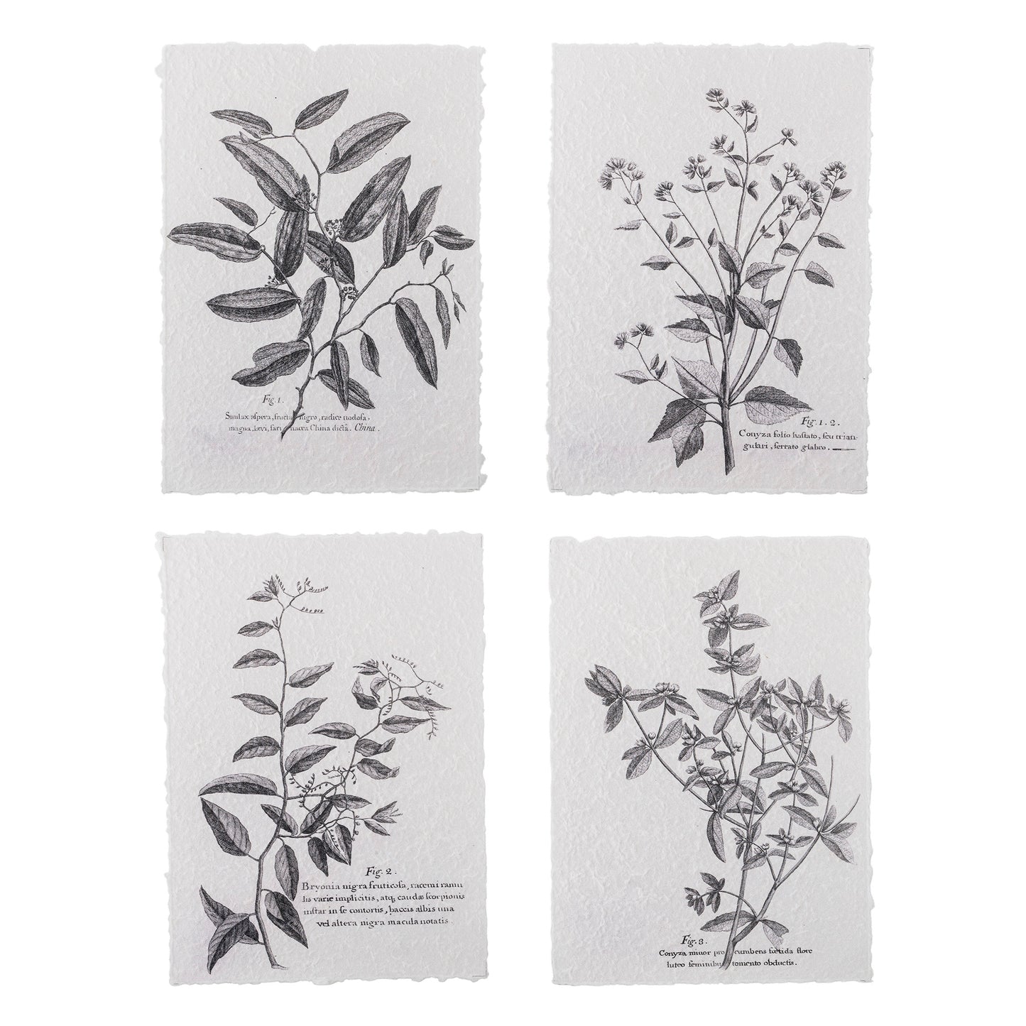 Poster-Set Fribo, 4-tlg.
